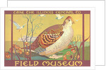 Poster for Field Museum with Quail by Anonymous