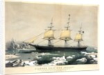 Clipper Ship Red Jacket by Currier & Ives