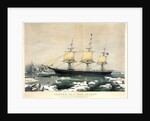 Clipper Ship Red Jacket by Currier & Ives