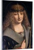 Portrait of a Boy as Saint Sebastian by Giovanni Antonio Boltraffio