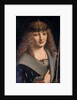 Portrait of a Boy as Saint Sebastian by Giovanni Antonio Boltraffio