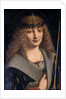 Portrait of a Boy as Saint Sebastian by Giovanni Antonio Boltraffio