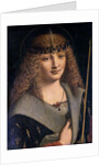Portrait of a Boy as Saint Sebastian by Giovanni Antonio Boltraffio