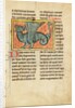 A Winged Dragon by Anonymous