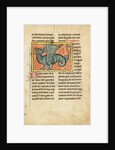 A Winged Dragon by Anonymous