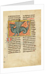 A Winged Dragon by Anonymous