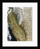 Satellite View of the Rim Fire, California by Anonymous