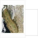 Satellite View of the Rim Fire, California by Anonymous