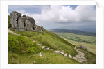 View From Cadair Idris Looking North Towards Dolgellau Over Fields and Countryside by Anonymous