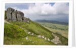 View From Cadair Idris Looking North Towards Dolgellau Over Fields and Countryside by Anonymous