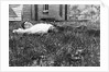 Young man lays in the grass, ca. 1912. by Anonymous