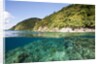 Coast of Dominica above and below water by Anonymous