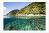 Coast of Dominica above and below water by Anonymous