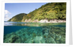 Coast of Dominica above and below water by Anonymous
