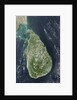 Satellite view of Sri Lanka by Anonymous