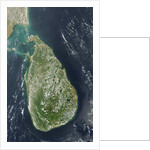Satellite view of Sri Lanka by Anonymous