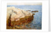 Cliff Rock â€“ Appledore (Isles of Shoals, Maine) by Childe Hassam