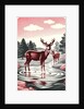 Deer in Stream by Anonymous