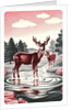 Deer in Stream by Anonymous