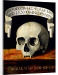 Skull of a Man - Memento Mori by Andrea Previtali