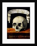 Skull of a Man - Memento Mori by Andrea Previtali