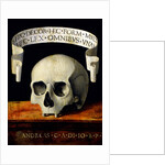 Skull of a Man - Memento Mori by Andrea Previtali