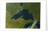 Satellite view of Lake Superior with fall colors by Anonymous
