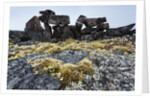 Tent Rings, Nunavut, Canada by Anonymous