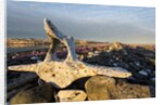 Whalers' Graves, Deadman Island, Nunavut, Canada by Anonymous