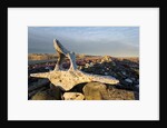 Whalers' Graves, Deadman Island, Nunavut, Canada by Anonymous