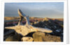 Whalers' Graves, Deadman Island, Nunavut, Canada by Anonymous