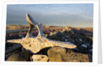 Whalers' Graves, Deadman Island, Nunavut, Canada by Anonymous