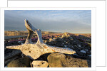 Whalers' Graves, Deadman Island, Nunavut, Canada by Anonymous