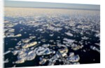 Sea Ice, Hudson Bay, Nunavut, Canada by Anonymous