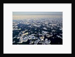 Sea Ice, Hudson Bay, Nunavut, Canada by Anonymous