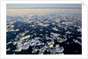 Sea Ice, Hudson Bay, Nunavut, Canada by Anonymous