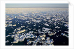Sea Ice, Hudson Bay, Nunavut, Canada by Anonymous