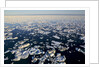 Sea Ice, Hudson Bay, Nunavut, Canada by Anonymous