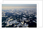 Sea Ice, Hudson Bay, Nunavut, Canada by Anonymous