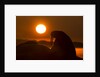 Walrus, Hudson Bay, Nunavut, Canada by Anonymous