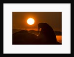 Walrus, Hudson Bay, Nunavut, Canada by Anonymous