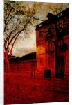Nightfall. by Anonymous