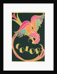 Color, Fantastic Bird by Anonymous