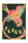 Color, Fantastic Bird by Anonymous