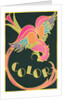 Color, Fantastic Bird by Anonymous