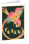 Color, Fantastic Bird by Anonymous