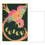 Color, Fantastic Bird by Anonymous