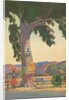 Roadside Eucalyptus, Signs by Anonymous