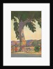 Roadside Eucalyptus, Signs by Anonymous