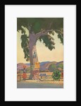 Roadside Eucalyptus, Signs by Anonymous